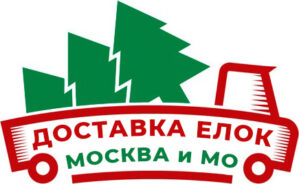 Доставка елки Москва